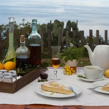 ファームステイ Agriturismo Pirapora