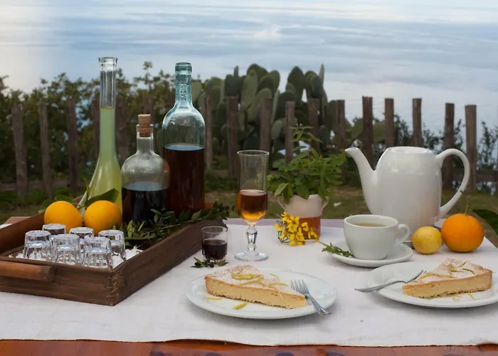 ファームステイ Agriturismo Pirapora