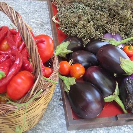 Agriturismo Pirapora Zambrone